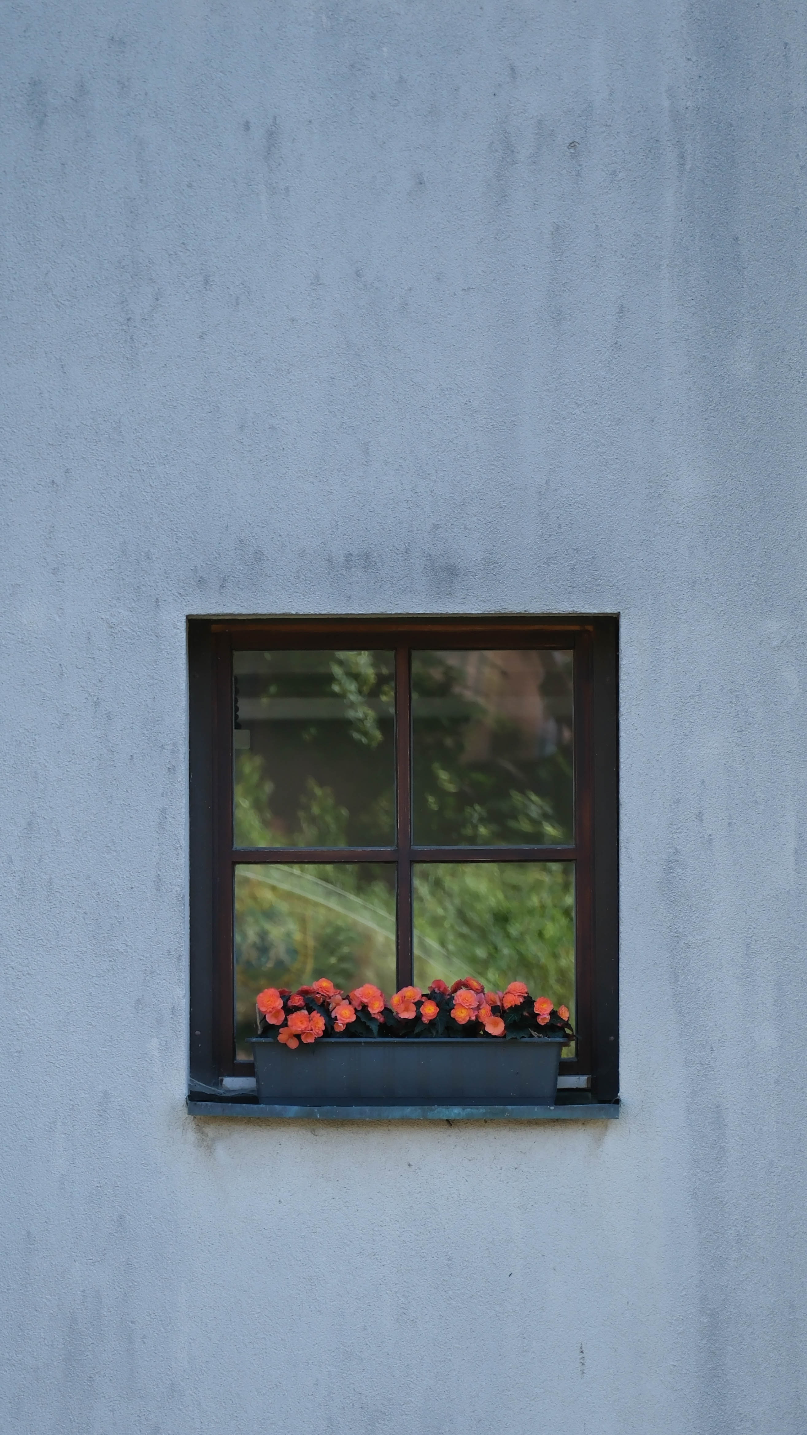 Fotoğraf