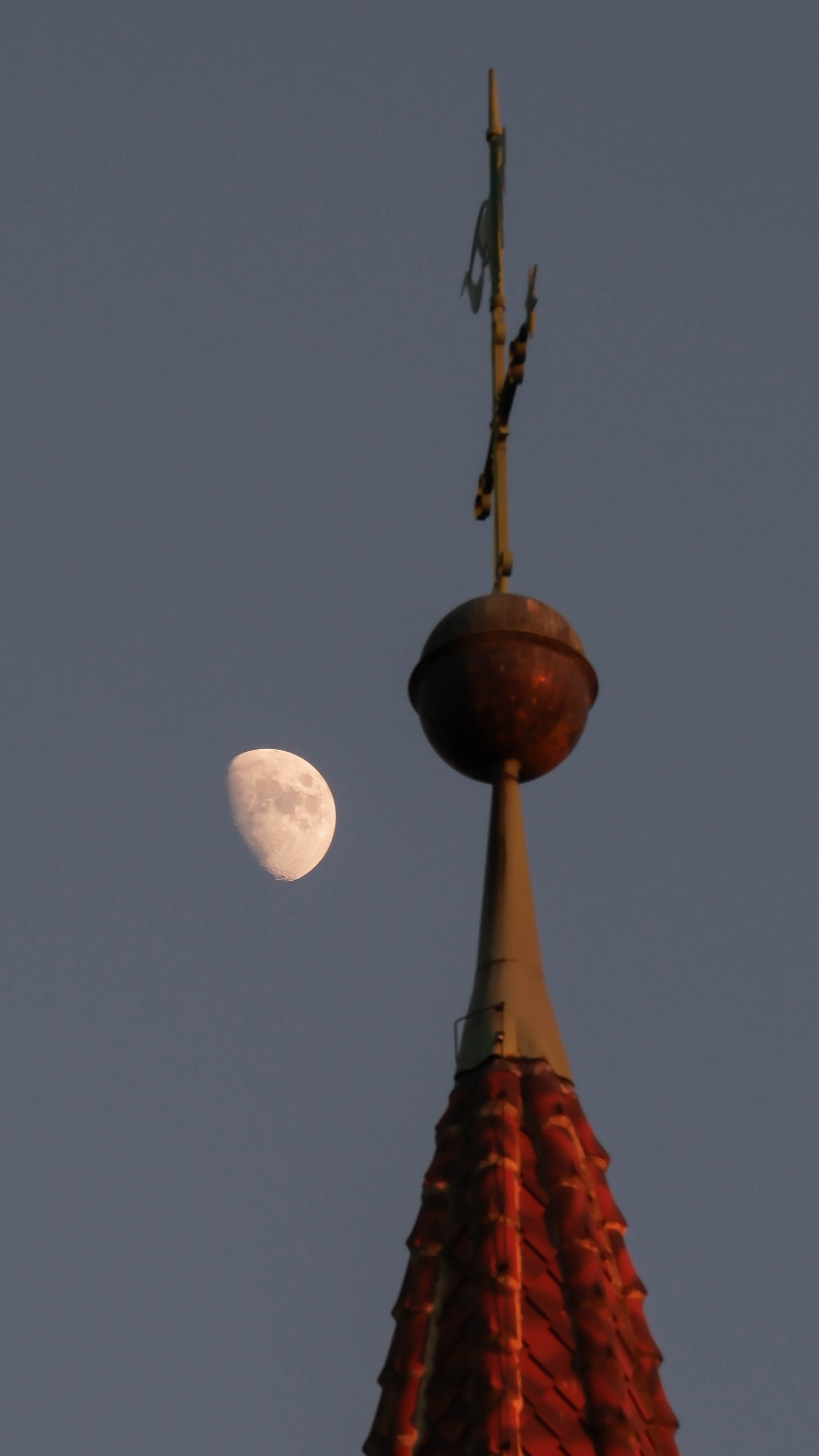 Fotoğraf
